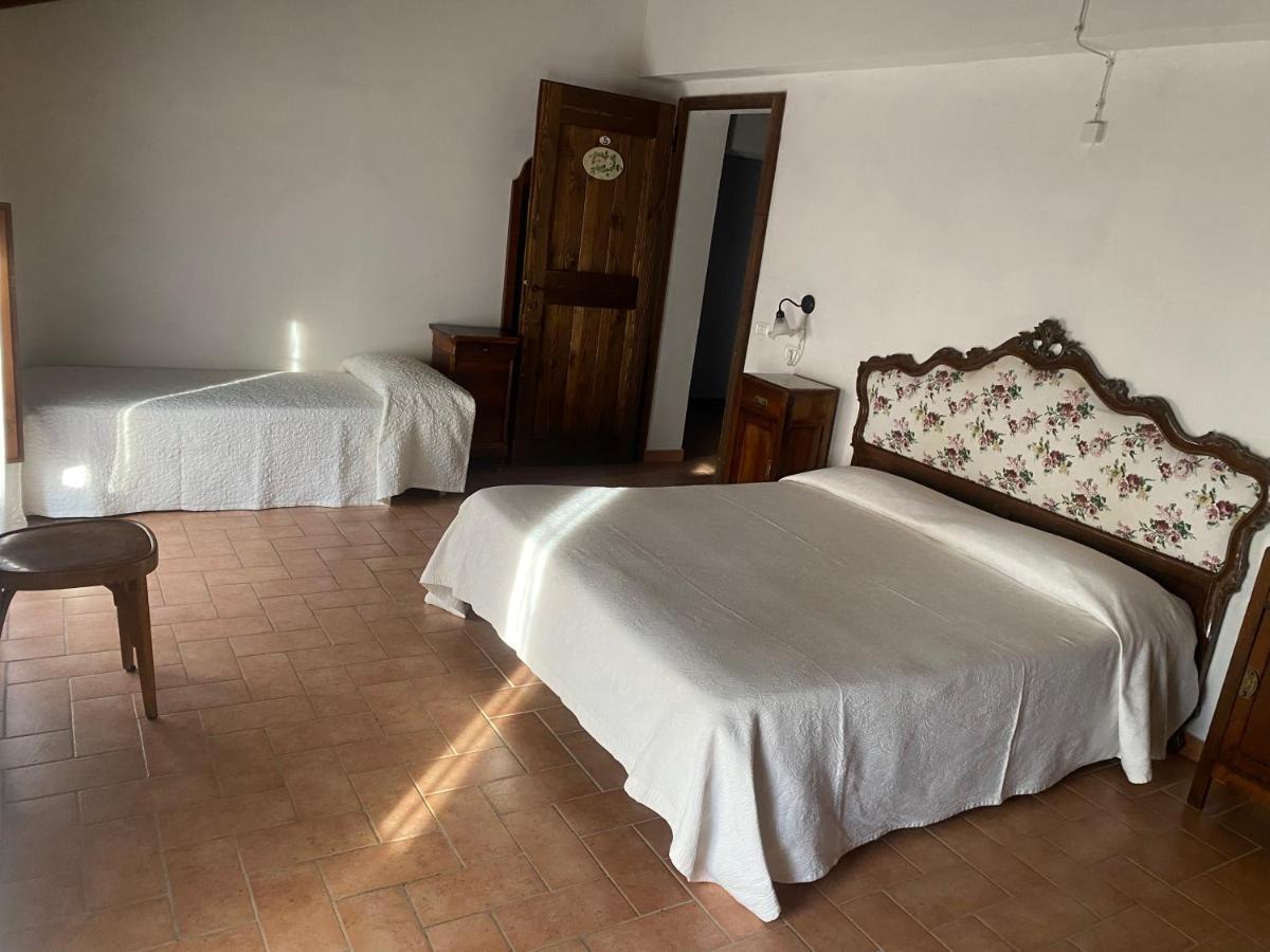 Agriturismo Prunara Farmstead F.Lli Santoli 몬주노 외부 사진
